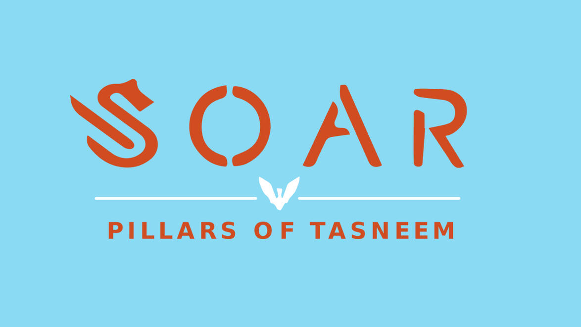 Soar - Pillars Of Tasneem